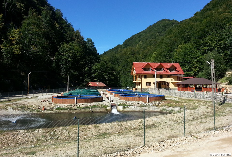 Pensiunea Casa Pastravarului, Comuna Pestisani, Judetul Gorj 