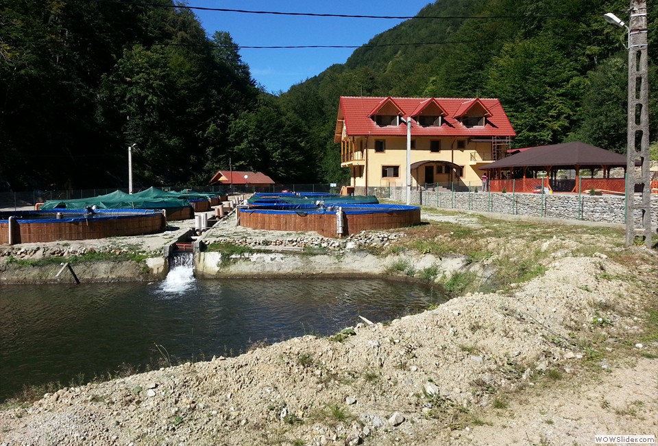 Pensiunea Casa Pastravarului, Comuna Pestisani, Judetul Gorj 