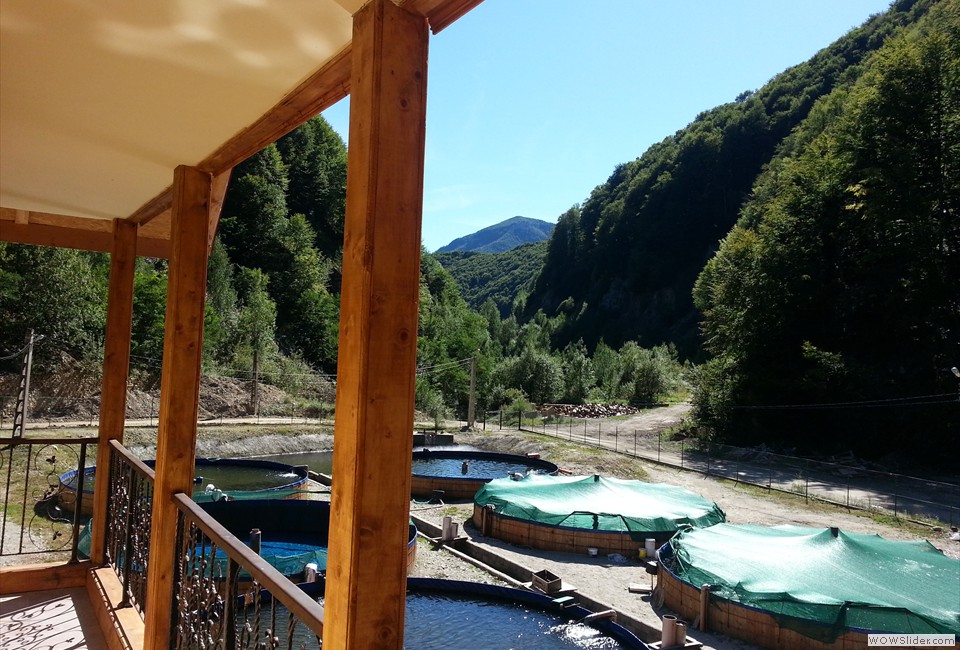 Pensiunea Casa Pastravarului, Comuna Pestisani, Judetul Gorj 