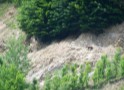 Pensiunea Casa Pastrvarului, Comuna Pestisani, Judetul Gorj 