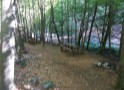 Pensiunea Casa Pastrvarului, Comuna Pestisani, Judetul Gorj 