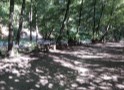 Pensiunea Casa Pastrvarului, Comuna Pestisani, Judetul Gorj 